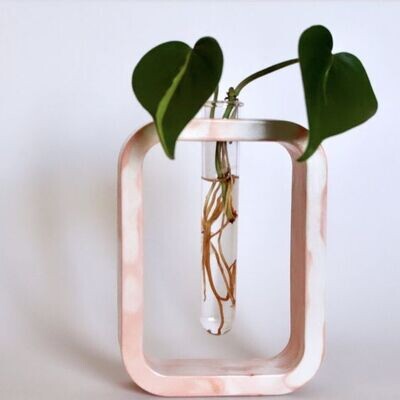 Rectangular Test tube Planter